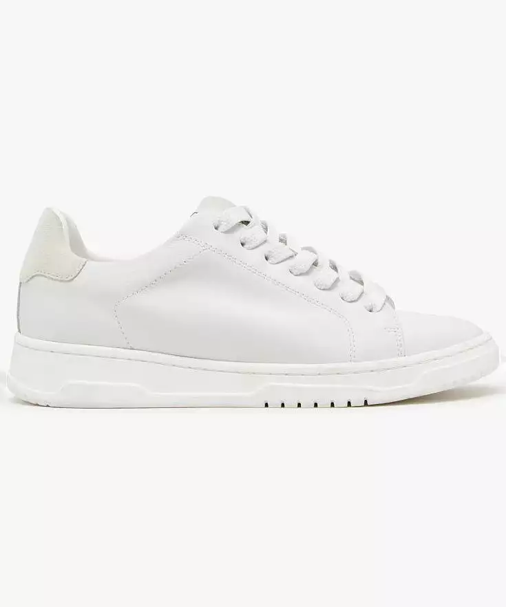 Steve Madden Elsin Sneaker - White