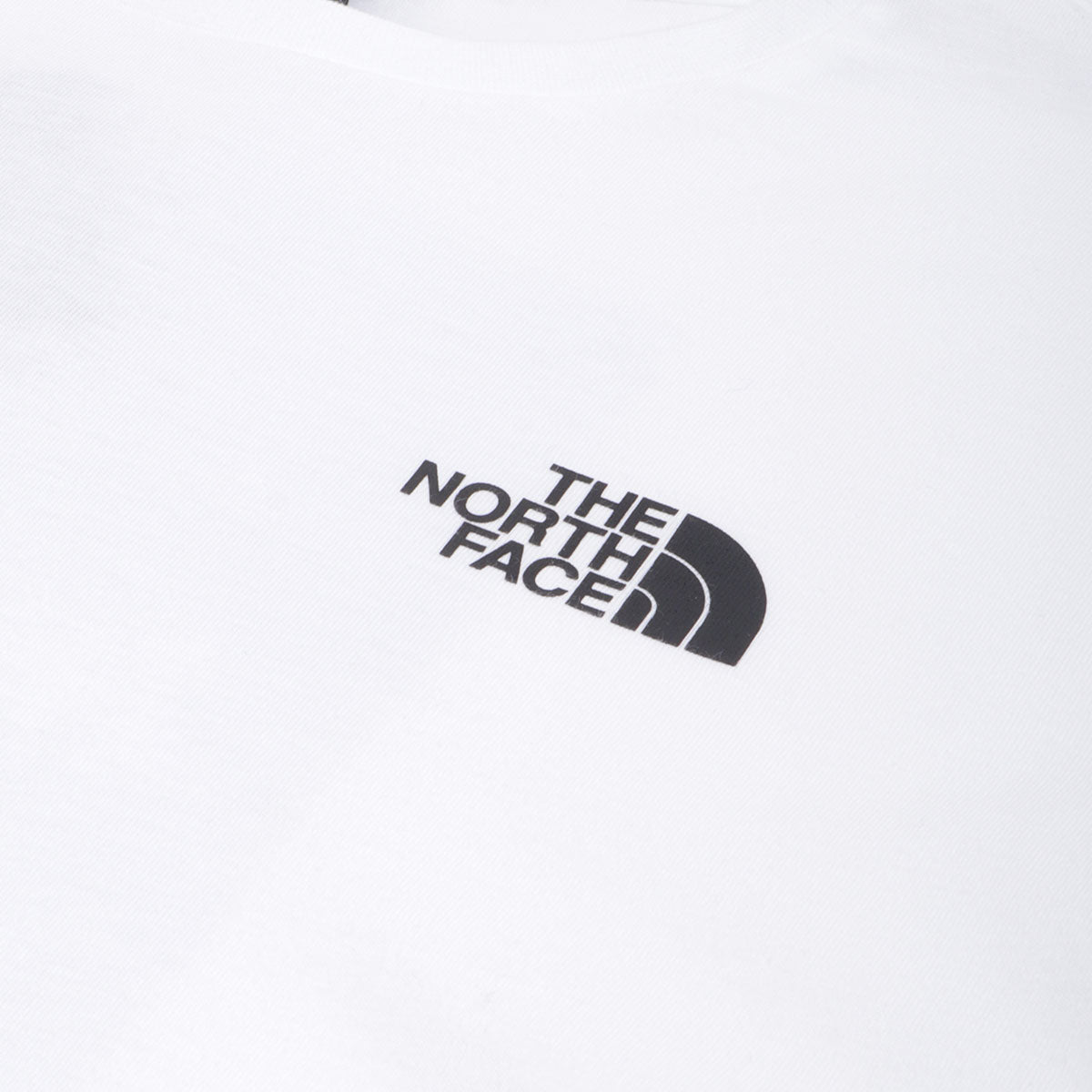 The North Face Redbox Celebration T-Shirt