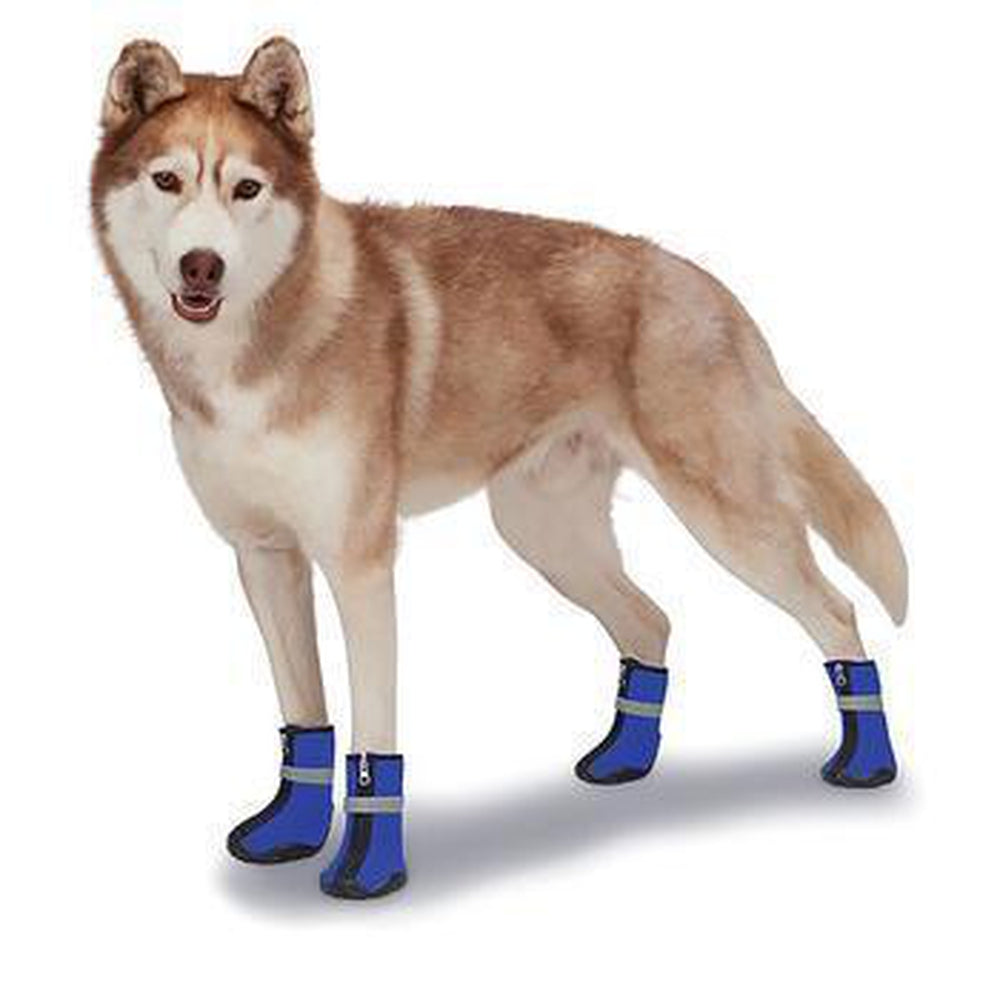 Zack and Zoey ThermaPet Neoprene Dog Boots - Blue